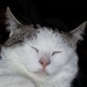 Meet your Posher, Adam